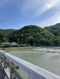 Arashiyama Bamboo Forest 