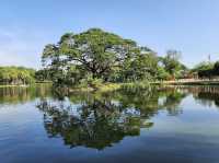 Beautiful recreational Tasik Permaisuri