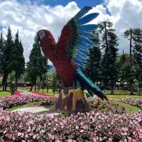 Ulun Danu Garden