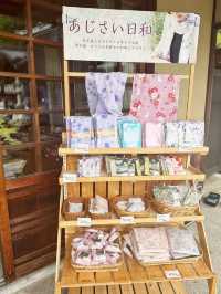 【京都】三室戸寺あじさい園