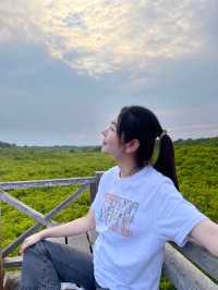 ไปชมพระอาทิตย์ตกที่ทุ่งโปรงทองกัน🌥️