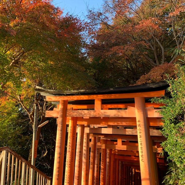 伏見稲荷千本鳥居を四ツ辻まで散歩
