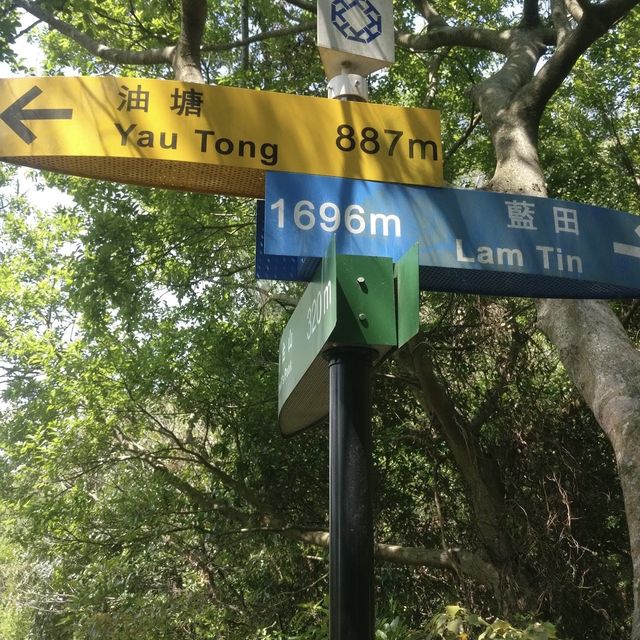Peak with Amazing view 