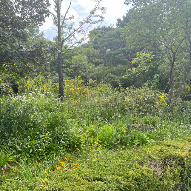 Forest Park