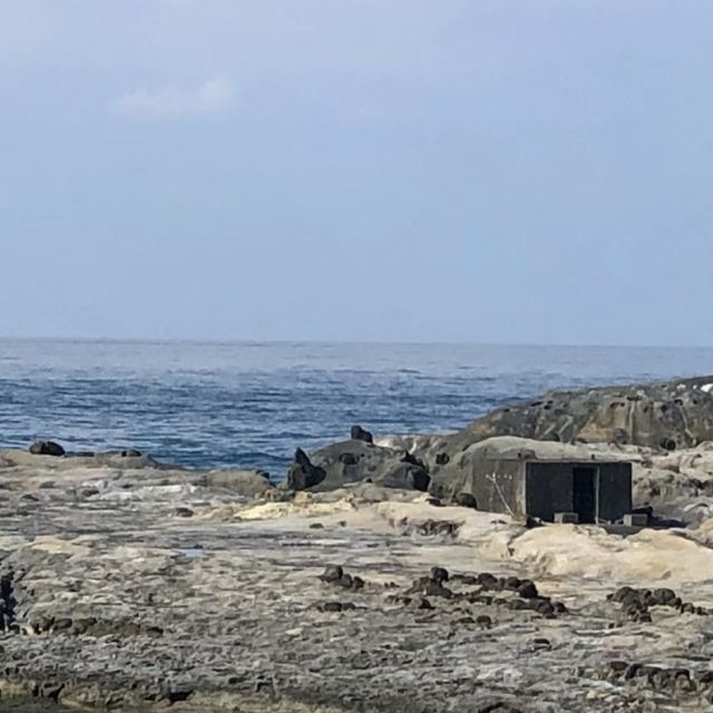 和平島地質公園🖼️基隆的奇幻地質🌋