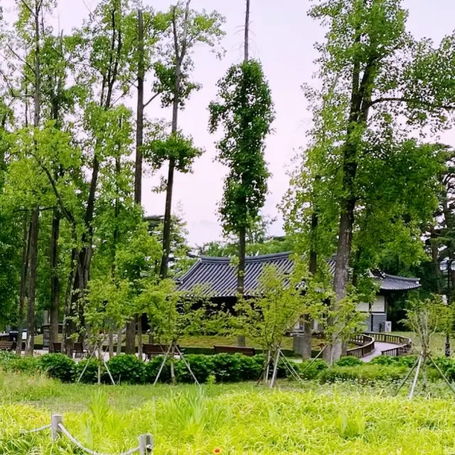 🧘‍♂️ 강릉의 고택, 허균 허난설헌 기념공원을 거닐며