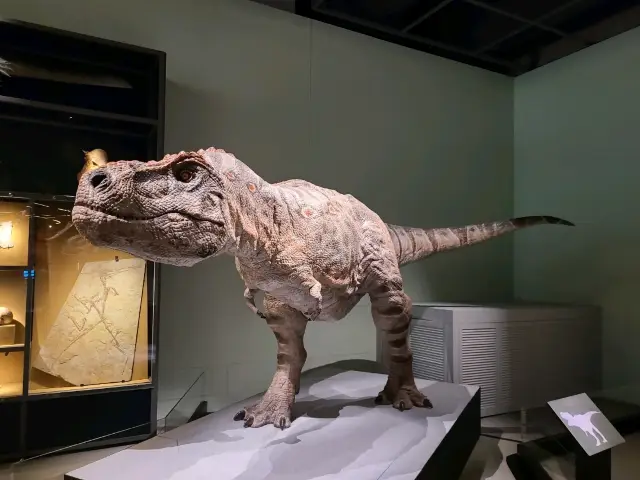 科學館古生物恐龍展