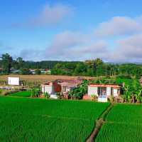 Srinaman Cottages 