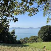 《福岡》四季折々の草花が楽しめるオススメSPOT🌼