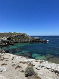 西澳的Rottnest Island：水清沙幼沙灘與微笑袋鼠的天堂！🏝️🌊🦘