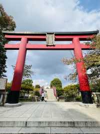【東京都/亀戸天神社】亀戸天神菊まつり