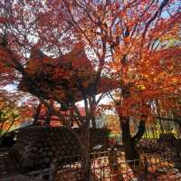 autumn vibes at Shuzenji Temple