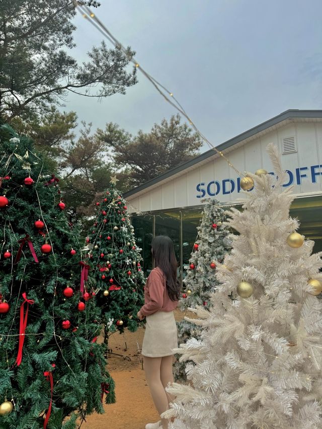 눈내리는 감성 카페 소디스 커피