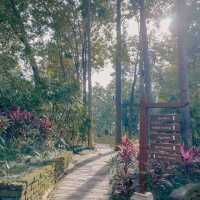Four Seasons Chiangmai ลักชัวรี่ท่ามกลางธรรมชาติ