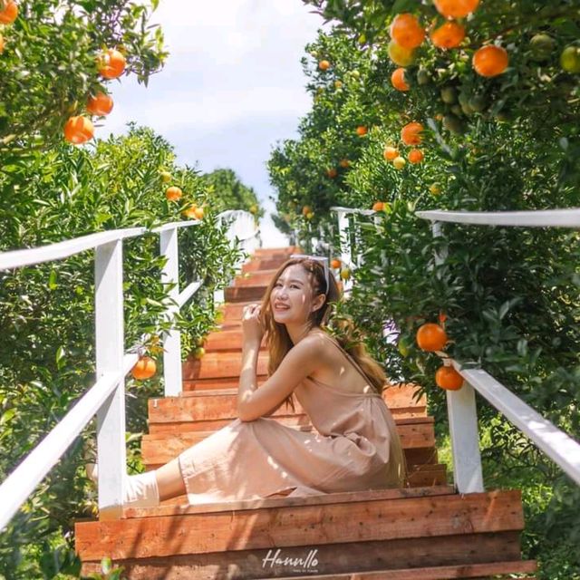 ปักหมุดจุดเช็คอินเชียงใหม่ สวนดอกไม้และสวนส้มป้างฮวา