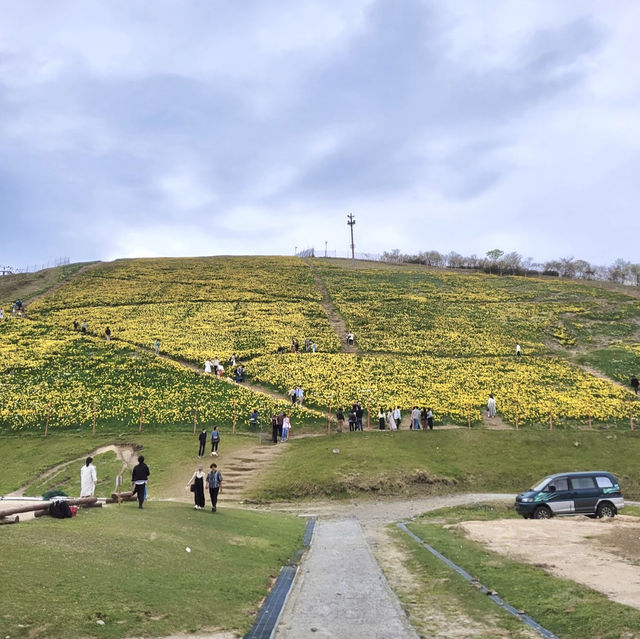 ดื่มด่ำกับวิวสวย 360° ที่ Biwako Terrace, Shiga