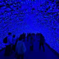 Fairytale Illumination at Nabana