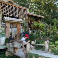 คาเฟ่ ร้าน บายศรีฮาท จังหวัด แพร่