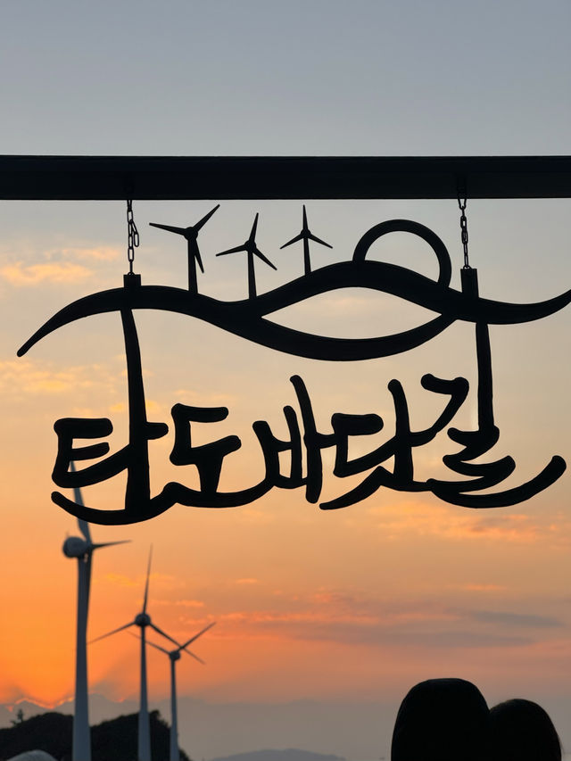 서울 근교 안산 일몰 명소 탄도항🧡