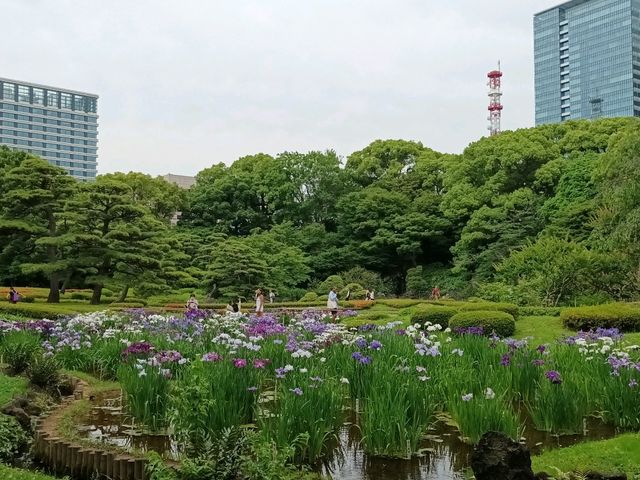 皇居東御苑 | 日本東京賞花勝地及天皇的秘密花園