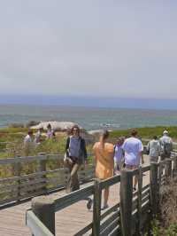 Boulders Beach : Simon's Town หาดแพนกวิ้น