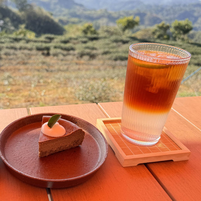 景美山林茶園&山月茶屋/桃園寵物友善網美景點