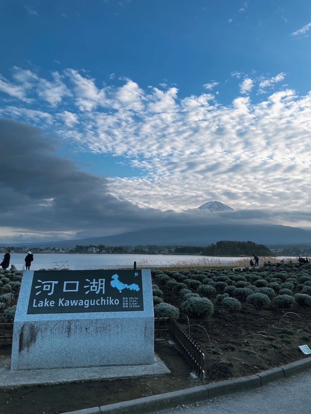 ชมวิวฟูจิซัง ริมทะเลสาบ 🗻
