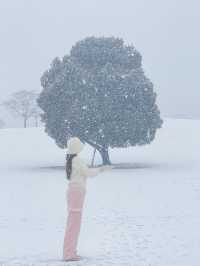 눈 올땐 삿포로 부럽지 않은 서울 올림픽공원🩵❄️