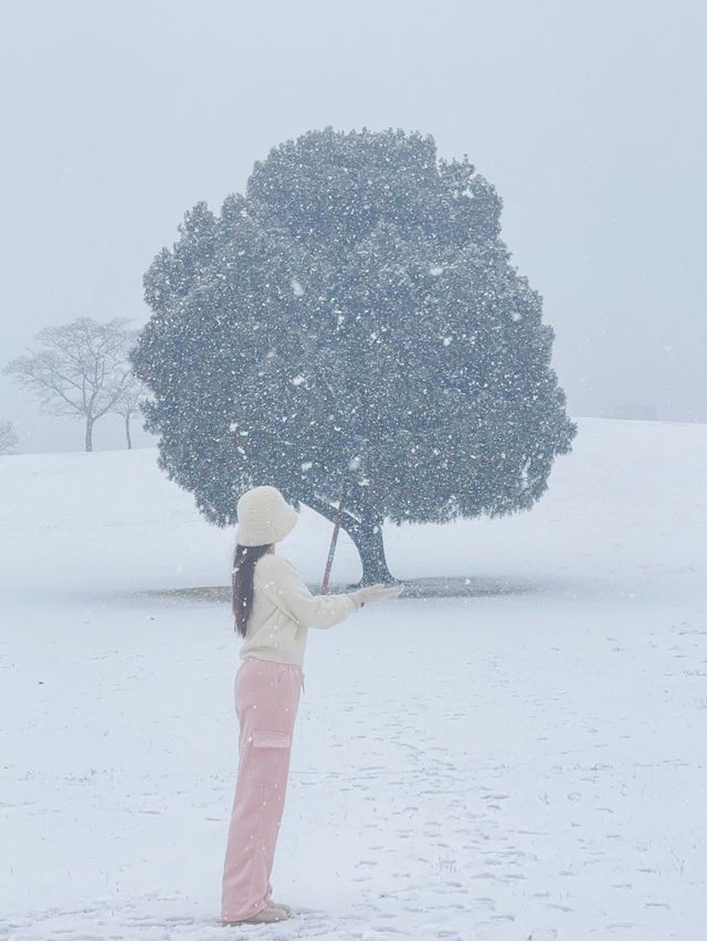 눈 올땐 삿포로 부럽지 않은 서울 올림픽공원🩵❄️