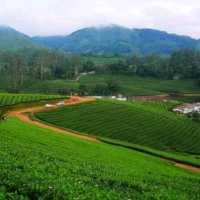 Kodaikanal Hill Station, Tamilnadu 