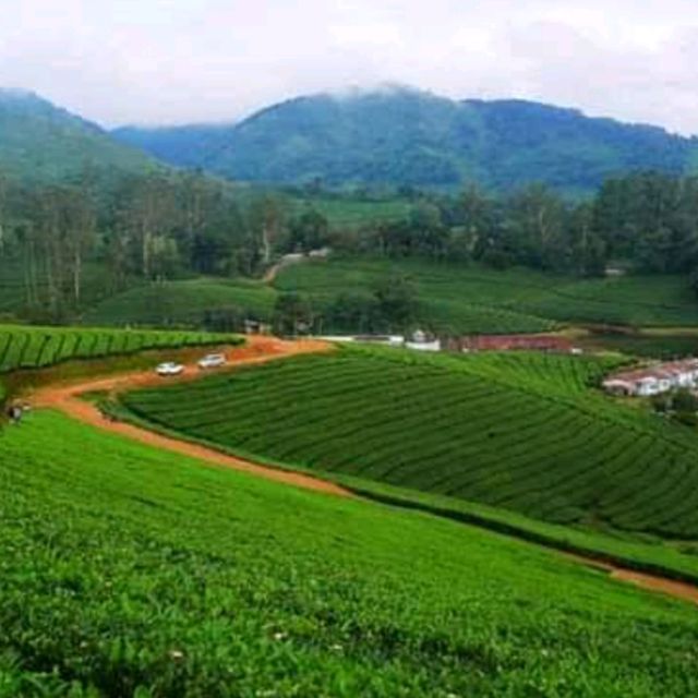 Kodaikanal Hill Station, Tamilnadu 