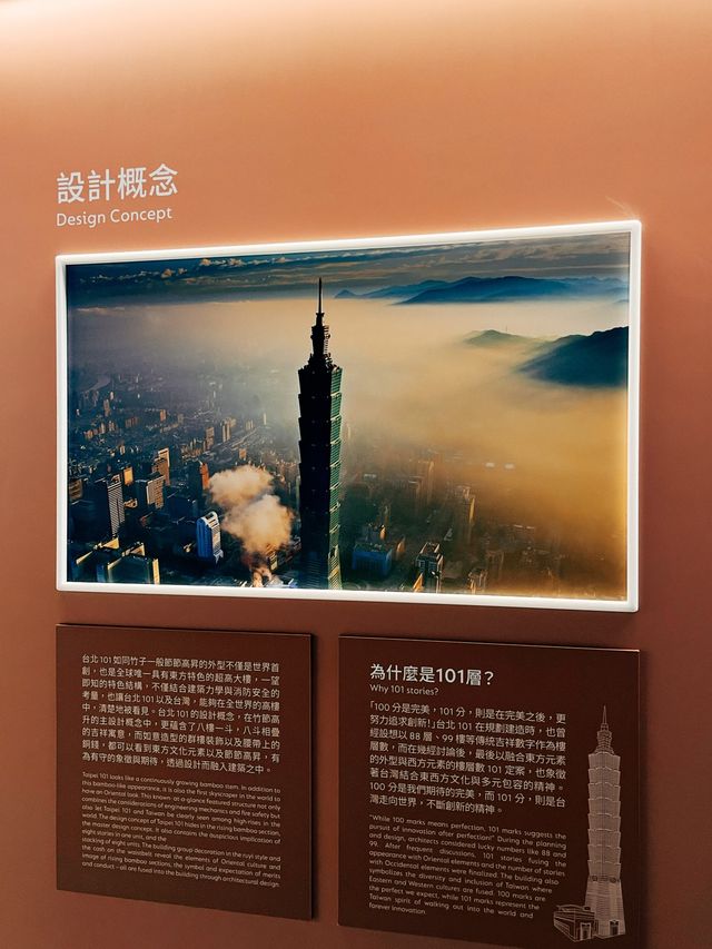 台北101👣不限時的俯瞰整個台北市✨