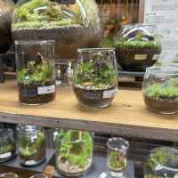 植物園！？素敵すぎる園芸ショップ！