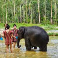 Elephant Care Park Phuket 