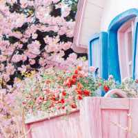 【千葉】ディズニーで桜を見るならここ！「トゥーンタウン」が写真映え最強スポットだった📷´-