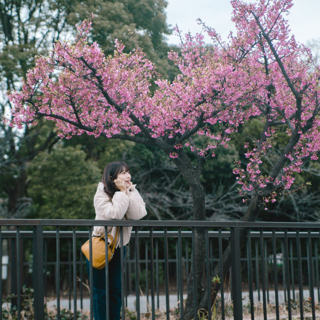 【東京】スカイツリー×桜🌸が撮れる穴場スポット📷´-