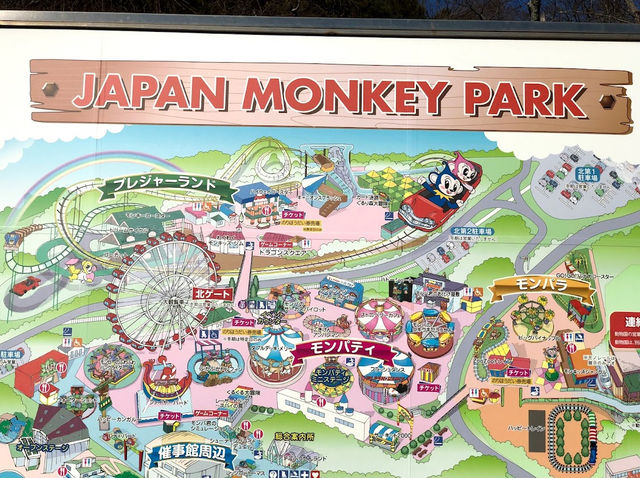 Japan Monkey Park