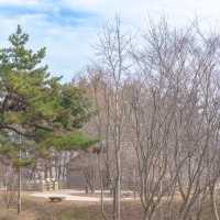 동물왕국 고창 상하농원