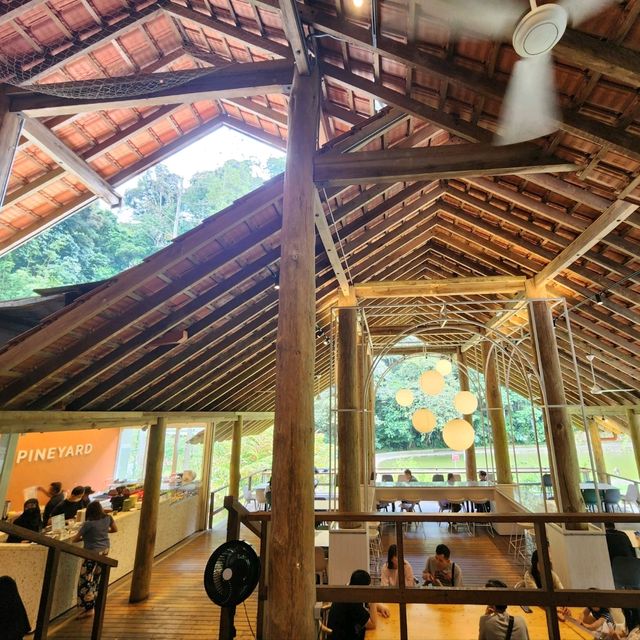 Café ín e Woods-Píneyard at Bentong Genting