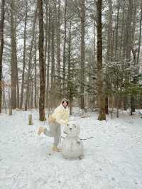 북유럽 감성 대관령 설산 명소🗻⛄️