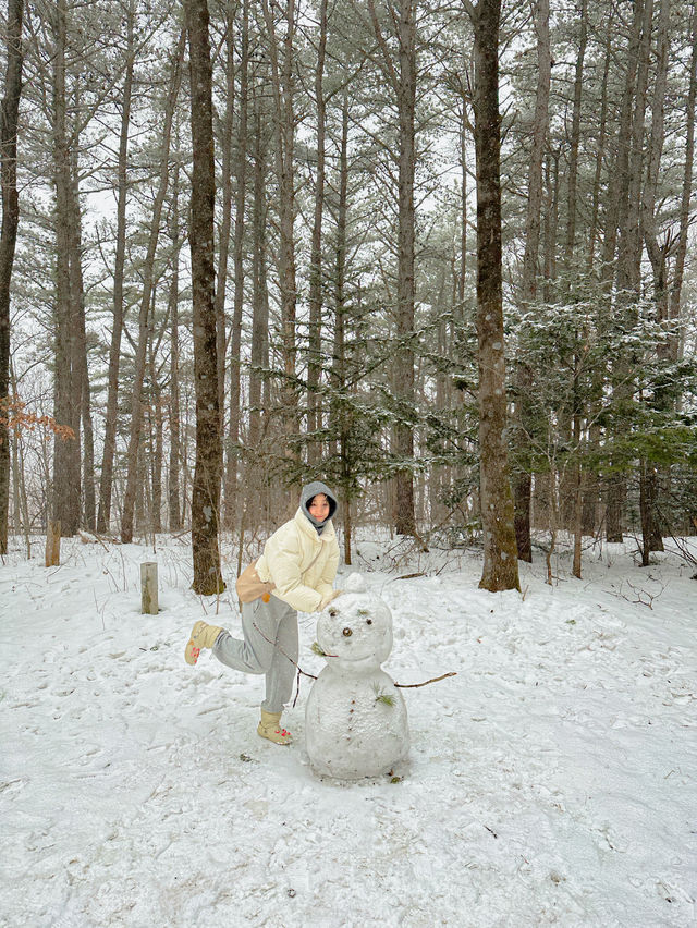 북유럽 감성 대관령 설산 명소🗻⛄️