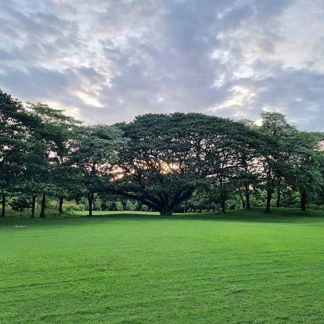 สวนวชิรเบญจทัศ (สวนรถไฟ)