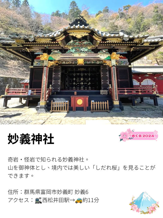 【妙義神社/群馬県】しだれ桜のアーチをくぐろう！