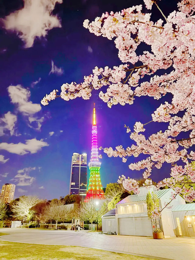 【東京】今だけ!!夜桜×東京タワーの最強コラボ