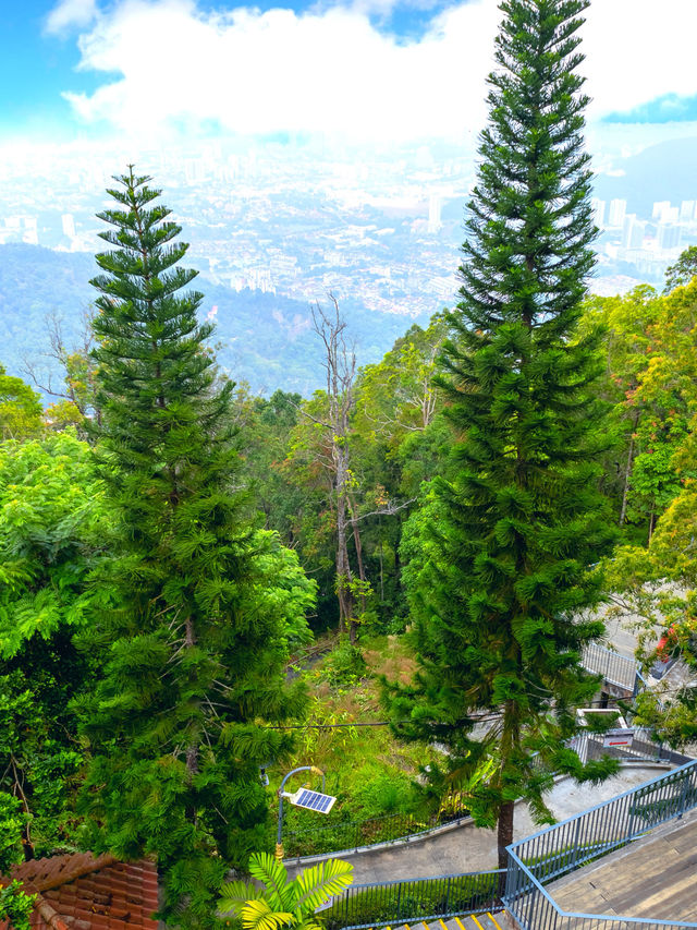 Unveiling the Charm of Penang Hill