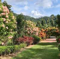 Tranquility at Penang Botanic Gardens 