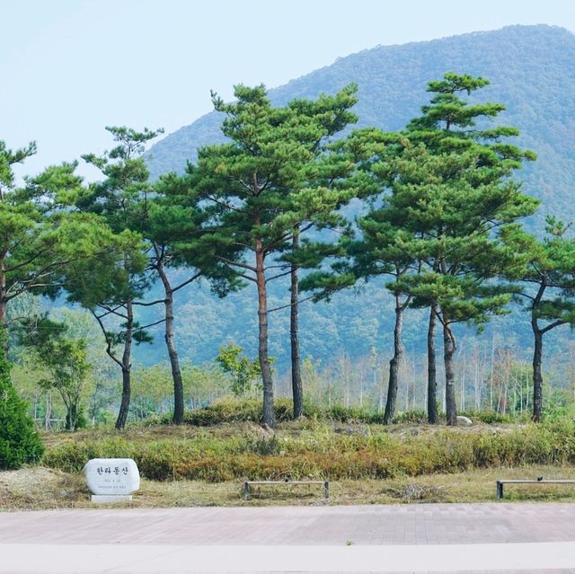 숨은 보석 남이섬 함께 가봐요! 🌳