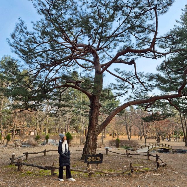 Trip To Nami Island