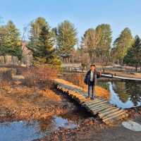 Trip To Nami Island