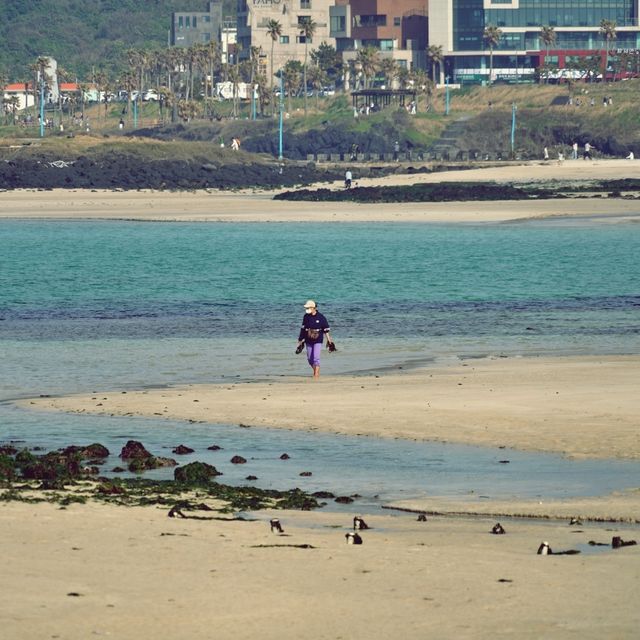 🌊 함덕해변, 제주도의 푸른 보석